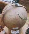 aktuelles